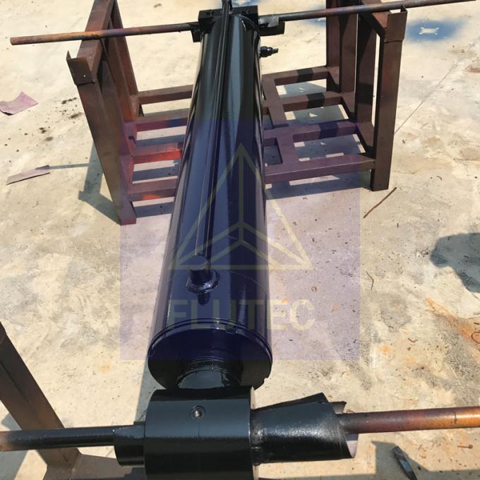 Kiểm tra áp suất 100% Thủy sản thủy lực xi lanh hoạt động đôi cho cần cẩu tàu 2