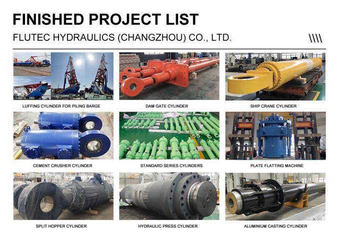 Đàn thủy lực thủy lực áp suất trung bình hoạt động đôi cho cần cẩu tàu 6