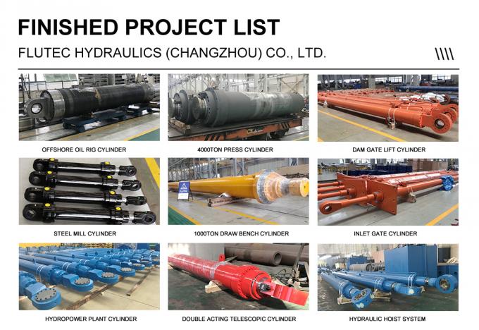 Thép Carbon Offshore Hydraulic Cylinders Long Stroke Cho Đồ cắm 5