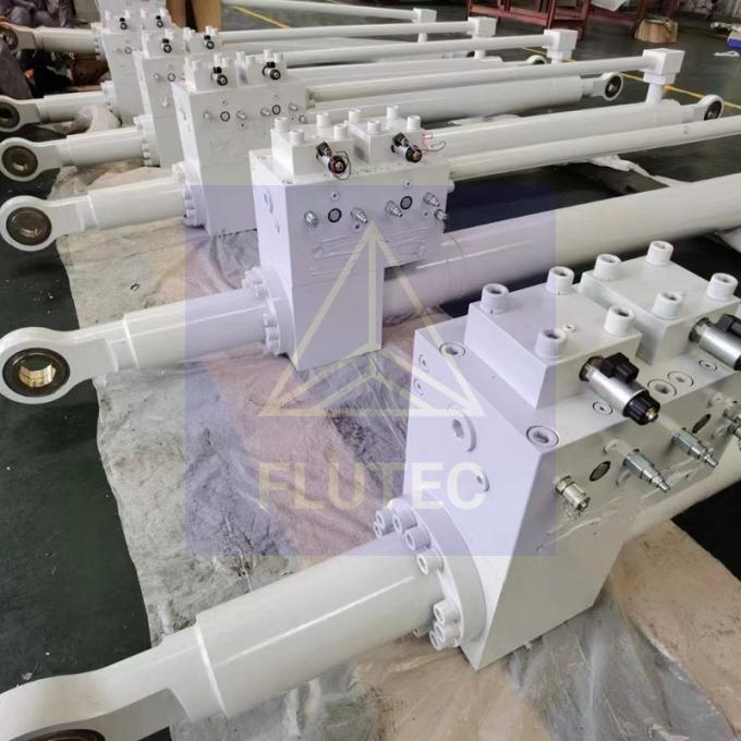 Thủy chất được đảm bảo chất lượng xi lanh cho thiết bị in thủy lực biển 1